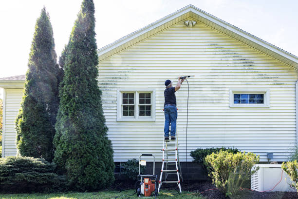 Best Fence Cleaning  in Andrews, SC